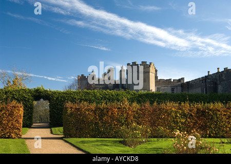 Mit Blick auf Ardgillan Castle aus dem Rosengarten, im Winter mit der Blutbuche Hecke im Vordergrund Stockfoto