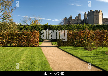 Mit Blick auf Ardgillan Castle aus dem Rosengarten, im Winter mit der Blutbuche Hecke im Vordergrund Stockfoto