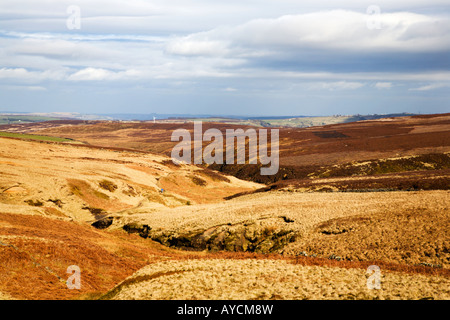 Einsamer Wanderer auf Haworth Moor West Yorkshire England Stockfoto