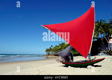 Jangada Taiba Ceara Brasilien Stockfoto