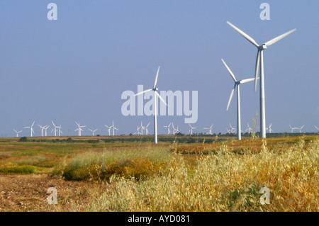 Spanien, La Muela in der Nähe von Zaragoza. Bauernhof von Windenergieanlagen auf goldenen Feld Stockfoto