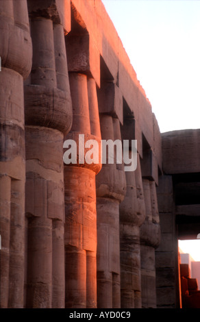 Lotus gekrönt Spalten Hypostyle Halle-Luxor-Tempel Stockfoto