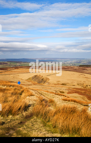 Einsamer Wanderer auf Haworth Moor West Yorkshire England Stockfoto