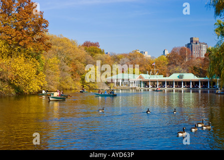 Herbst im Central Park, Rowboating und Ruderboote im Lake Boathouse, New York City Stockfoto