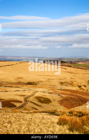 Einsamer Wanderer auf Haworth Moor West Yorkshire England Stockfoto