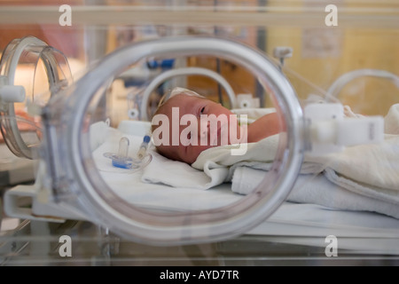 Ein Frühgeborenes 5 Wochen liegt in einem Inkubator Stockfoto