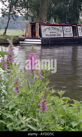 Fluss Wey Navigation in der Nähe von Guildford Surrey UK Stockfoto