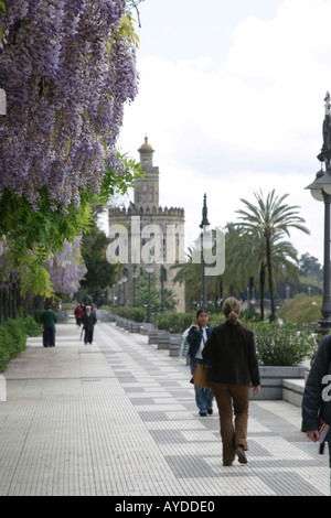 Menschen zu Fuß entlang der Straße durch den Fluss in Richtung Torre del Oro in Sevilla Spanien Stockfoto