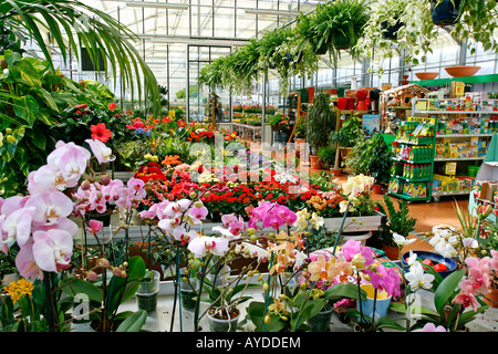 Garten-Center. Luchon (Frankreich) Stockfoto