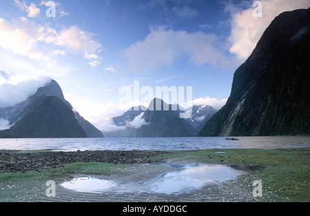 Milford Sound Fiordland Nationalpark Southland, Südinsel Neuseeland Stockfoto