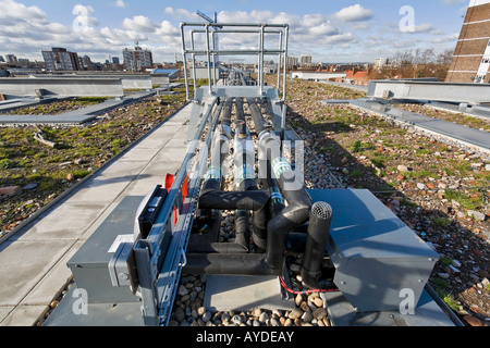 Adelaide Wharf Schlüssel Arbeiter Apartments, Shoreditch, London, Öko Dach, Lüftung Kanalisierung Stockfoto