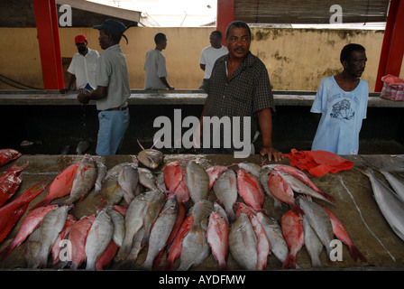 Standinhaber Markt verkaufen frischen Fisch in den Sir Selwyn Selwyn Clarke Markt in Victoria die Hauptstadt von Mahe Seychellen Stockfoto