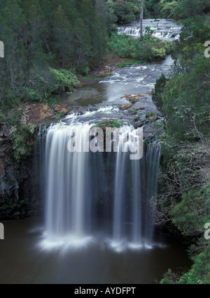 Dangar fällt, in der Nähe von Dorrigo, nördlichen New South Wales Australien Stockfoto