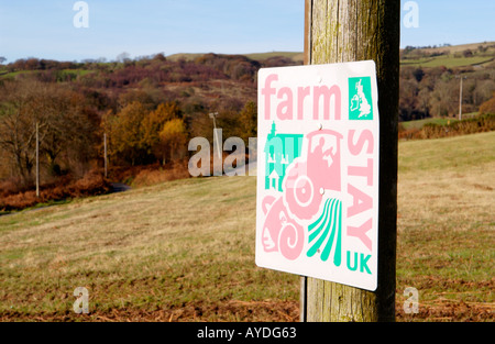 FARMSTAY UK anmelden Telegrafenmast in der Nähe von Sennybridge Powys Wales UK Stockfoto