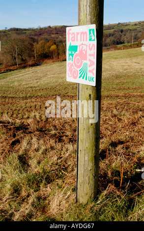 FARMSTAY UK anmelden Telegrafenmast in der Nähe von Sennybridge Powys Wales UK Stockfoto