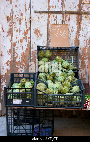 Artischocken für Verkauf auf dem französischen Markt, Herault, Languedoc-Roussillon Region im Süden von Frankreich Stockfoto