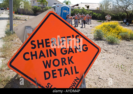 Phoenix Arizona A Chain Gang der Frau Häftlinge in den Gefängnissen von Maricopa County Stockfoto