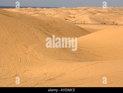 Algodones Dünen, auch bekannt als Imperial Sand Dünen, Kalifornien, USA Stockfoto