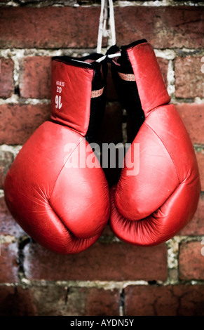 VItage Boxhandschuhe Stockfoto