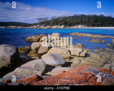 Bucht in der Nähe von Binalong Bucht, Bucht von Bränden Coastal Reserve, NE Küste, Tasmanien, Australien Stockfoto