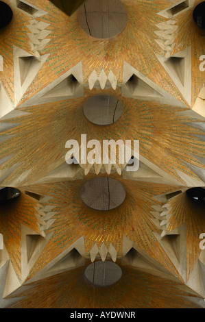Die Decke der Kathedrale Sagrada Familia. Barcelona, Spanien. Stockfoto