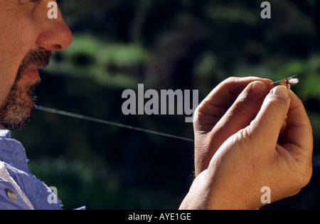Fliege Fischen Stockfoto