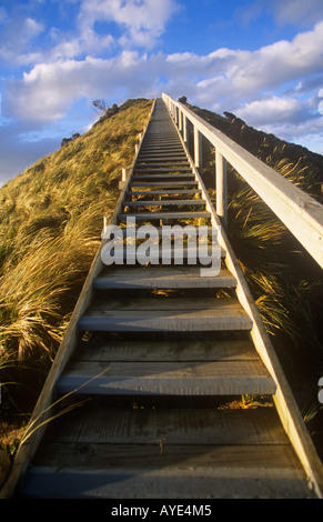 Schritte zum Aussichtspunkt am The Neck, Beitritt, Norden und Süden der Insel, Bruny Island, SE Tasmanien, Australien Stockfoto