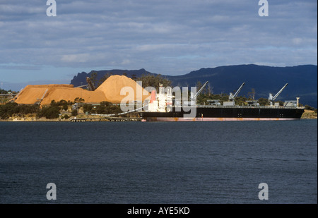 Hackschnitzel zu lagern und Laderampe, export, Triabunna, Südostküste, Tasmanien, Australien Stockfoto