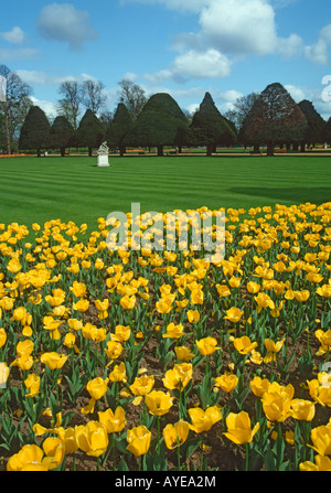 Hampton Court Palace Gärten, Surrey, UK. Stockfoto