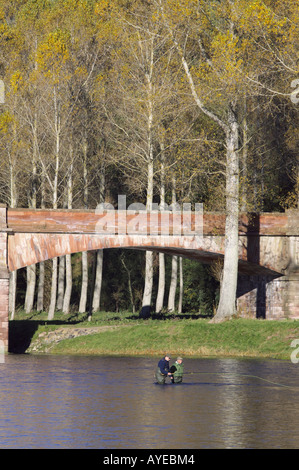 Ghillie Unterstützung der Fischer in den Fluss Tweed unter Mertoun Brücke, in der Nähe von St Boswells, Scottish Borders, Schottland Stockfoto