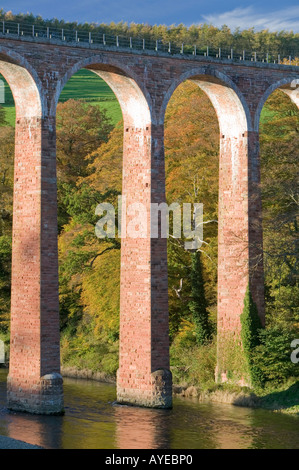 Das Leaderfoot-Viadukt, das durchquert der Fluss Tweed, in der Nähe von Melrose, Scottish Borders, Schottland Stockfoto