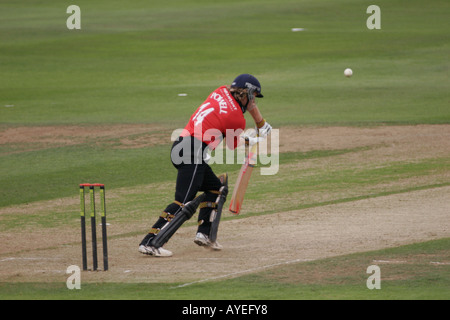 GLAMORGAN GEGEN HAMPSHIRE, TAGES-TAG-NACHT-CRICKET, SOPHIA GÄRTEN, CARDIFF, SÜDWALES, GROßBRITANNIEN Stockfoto