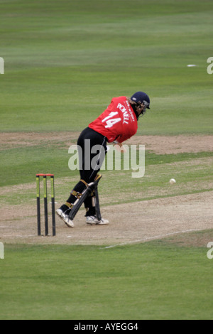 GLAMORGAN GEGEN HAMPSHIRE, TAGES-TAG-NACHT-CRICKET, SOPHIA GÄRTEN, CARDIFF, SÜDWALES, GROßBRITANNIEN Stockfoto