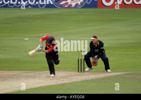 GLAMORGAN GEGEN HAMPSHIRE, TAGES-TAG-NACHT-CRICKET, SOPHIA GÄRTEN, CARDIFF, SÜDWALES, GROßBRITANNIEN Stockfoto