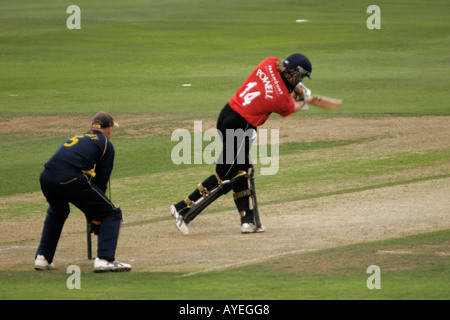 GLAMORGAN GEGEN HAMPSHIRE, TAGES-TAG-NACHT-CRICKET, SOPHIA GÄRTEN, CARDIFF, SÜDWALES, GROßBRITANNIEN Stockfoto