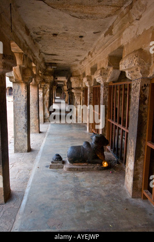 Nandi der Stier in einem Flur innen Brihadishwara Hindu-Tempel in Thanjavur Südindien Stockfoto