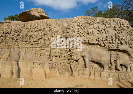 Arjunas Buße Steinrelief Schnitzereien in Mamallapuram Südindien Stockfoto