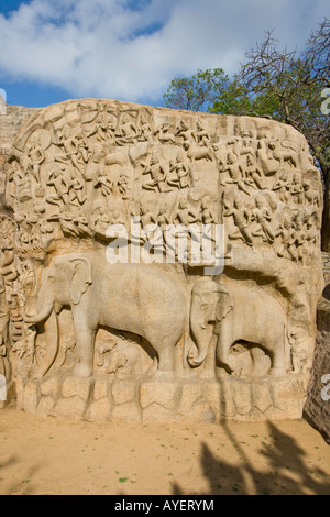 Arjunas Buße Steinrelief Schnitzereien in Mamallapuram Südindien Stockfoto