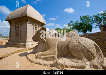 Nandi den Stier bei fünf Rathas in Mamallapuram Südindien Stockfoto