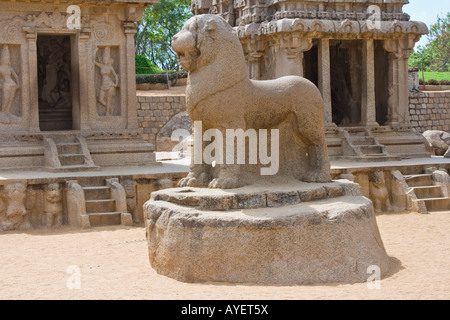 Löwenstatue an fünf Rathas in Mamallapuram Südindien Stockfoto