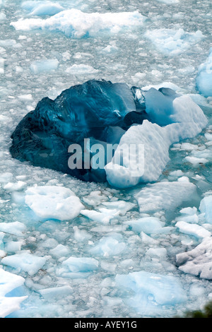 Der Perito-Moreno-Gletscher befindet sich im Los Glaciares Nationalpark in Patagonien Argentinien Stockfoto