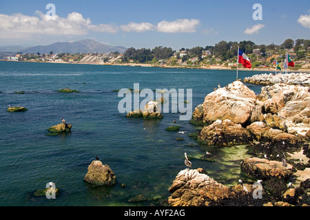 Küsten-Szene am Concon am Pazifik in Chile Stockfoto