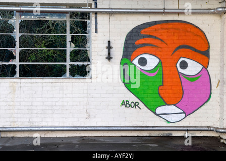 bunte Graffiti Kopf an verfallenen Gebäudewand Stockfoto