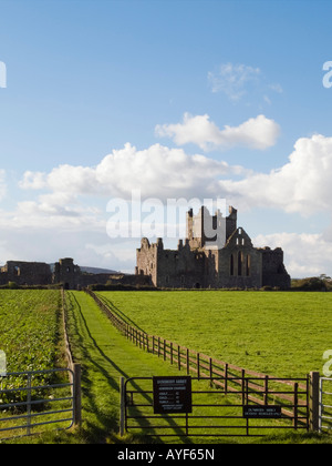 12. Jahrhundert Dunbrody Abbey Zisterzienser Kloster neue Ross County Wexford Ireland Irland Stockfoto