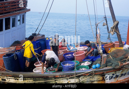 Fischer vor der Küste bei Ko Si Chang Stockfoto