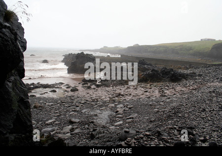 Misty Hafen, Arnarstapi, Snaefellsness Halbinsel, Island Stockfoto