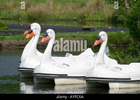 Geformte Tretboote Schwan Stockfoto
