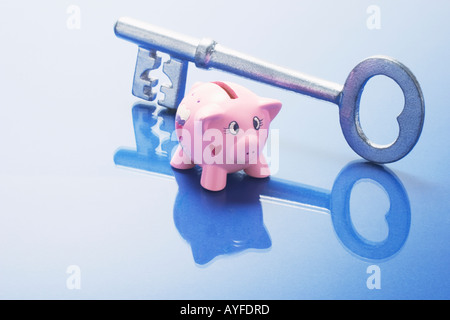 Miniatur-Sparschwein und Skeleton Key Stockfoto
