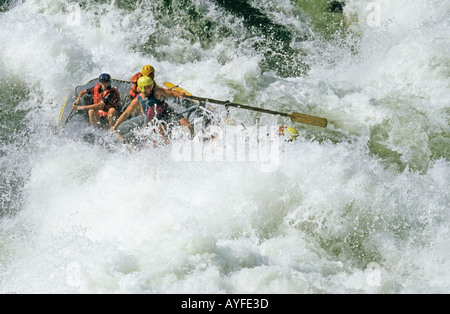 Wildwasser-rafting Zambezi River Simbabwe Sambia Grenze Afrika Stockfoto