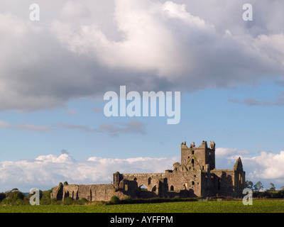 12. Jahrhundert Dunbrody Abbey Zisterzienser MonasteryNew Ross County Wexford Ireland Irland Stockfoto